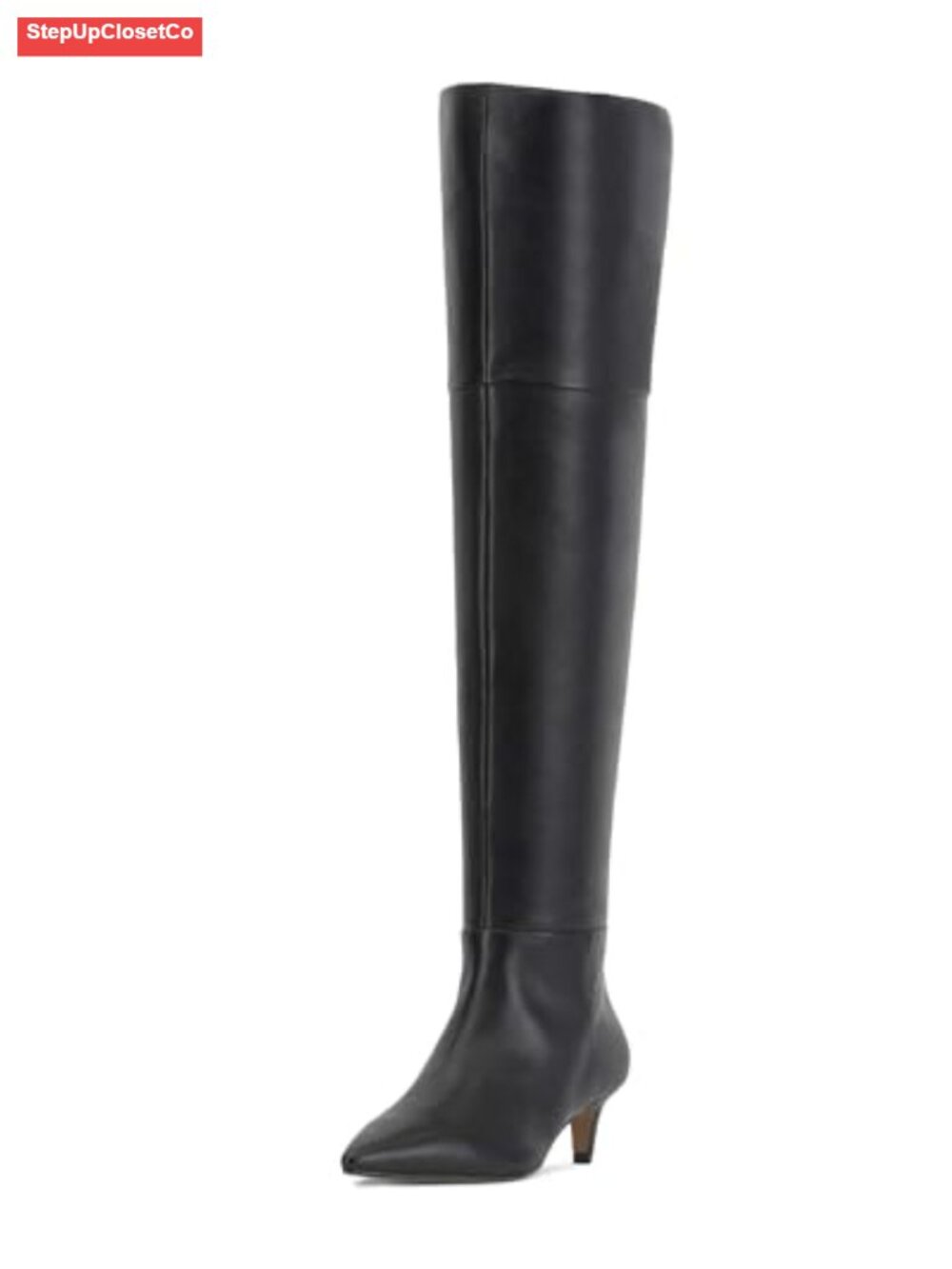Kitten Low Heel Pointed Toe Knee High Boots Fall Winter